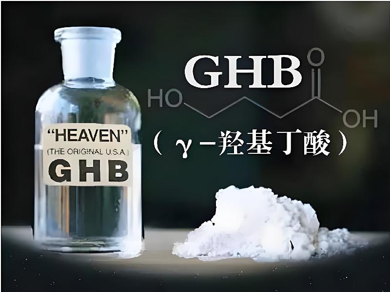 成人催药迷用品4161-ZGjg型号